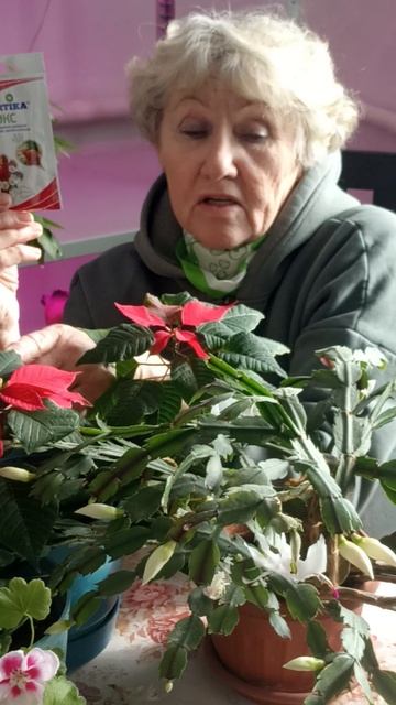 При таком удобрении, комнатные растения будут шикарными. смотреть онлайн