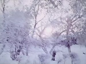 1987 год. Предновогодняя Тюмень.