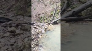 Наш зимний поход на Иринин водопад на ручье Задубнова Караулка