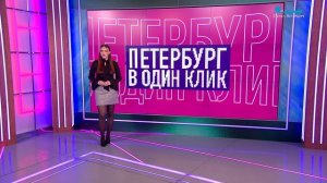 Петербург в один клик. Лето у пингвинов, признание в любви на льду, огни у Петропавловки