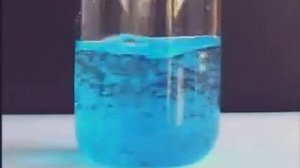 Химия 8 класс. Практическая работа 7. Взаимодействие гидроксида меди (II) с серной кислотой