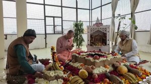 Шапа Мукти ягья. 18.02.26