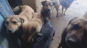 Херсонщина 18 февраля 2026 года