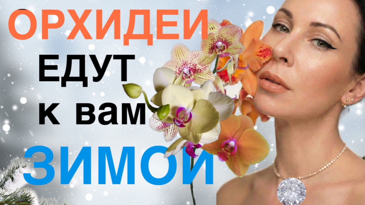 Распаковка! Что делаю с новой орхидеей. ПЕРЕСАЖИВАТЬ или нет⁉️ смотреть онлайн