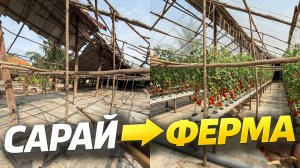 Строю клубничную ферму в Таиланде | Серия 1