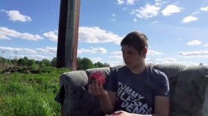 ЧТО ЭТО ЗА КЛУБОК ЧАСТЬ 7