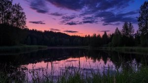 Словно сумерек наплыла тень. Слова Кима Рыжова