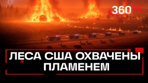 Мощные лесные пожары бушуют в США: огонь подступает к городам