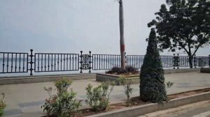 Утро в Хайдарабаде. Так и не нашли омлет! Небольшая обзорная экскурсия на рикше. Индия.