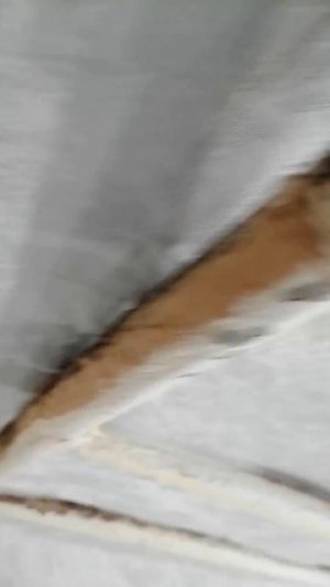 поднял панику из за капли воды