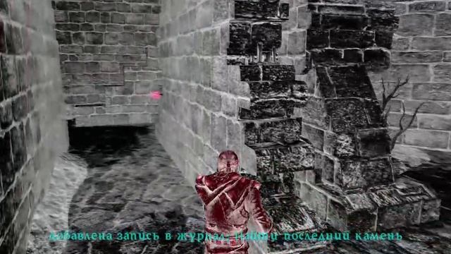 3  Beltion Обучение
