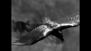 Мастер - Кресты