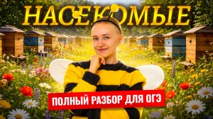 Класс Насекомые | Полный разбор для ОГЭ по биологии | Елена Зеленская | Умскул