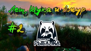 Русская рыбалка 4. Острог. Охота за трофейным Лещем но ловили Щуку и Амуров ))