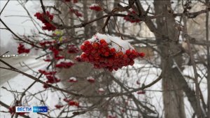 Вести-Томск, выпуск от 17.02.2026 21:10