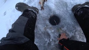 ЩУКИ, ОКУНИ, РЫБАЛКА НА ОЗЕРЕ В ЯКУТИИ