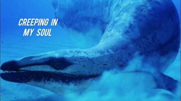 Cryoshell - Creeping in My Soul