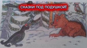 Н.Сладков "ВСЕМУ СВОЁ ВРЕМЯ"