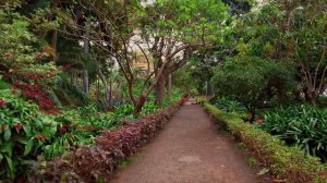 🌴 🇮🇨 Тенерифе, Канарские острова - Красивый ботанический сад на
