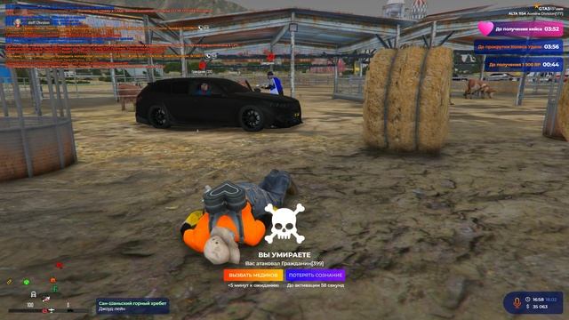 дм смотреть онлайн