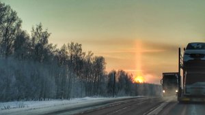 У Параскевы Пятницы