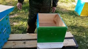 В перерывах между подготовкой к медосбору 9 мая 2025