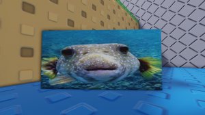 baldi's basics plus 0.8 beated