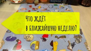 Что ждёт в ближайшую неделю? Гадание пасьянс Tarot Reading  (1)