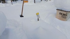 17.02.26 Как зимуют пчелки Кировской области #зимовкапчел #бакфаст #пчеловодство #пчёл