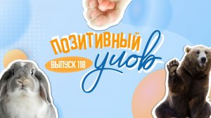 Мини-город для котов и стеклянный отель в Китае. "Позитивный улов"