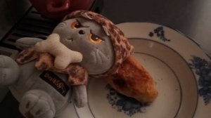 влог с бсиками