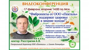 17.02.26 Партнер - ООО "Пекталь"