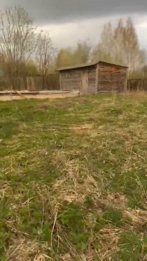 Участок на Волге 11 сот