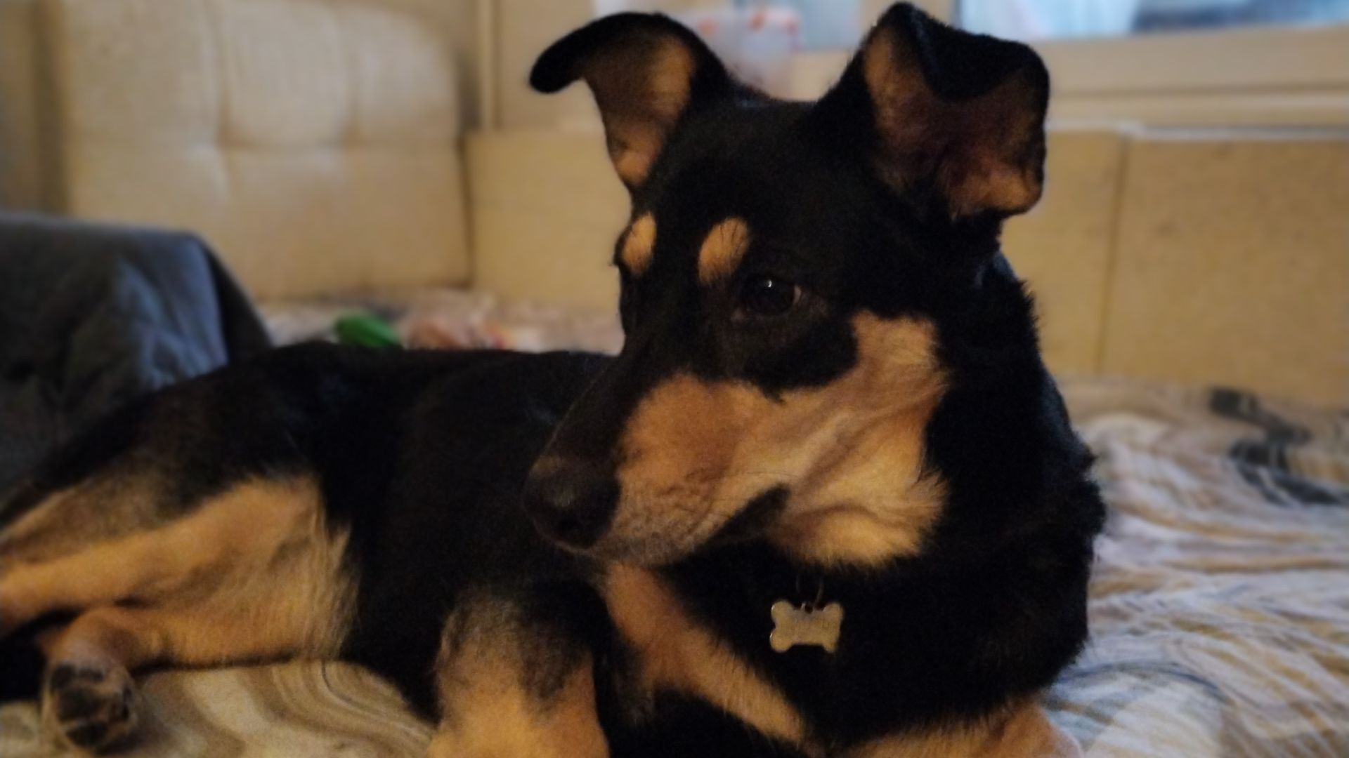 Т̾р̾е̾н̾и̾р̾о̾в̾к̾а̾ г̾е̾р̾д̾ы̾