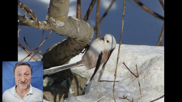 Февраль на фоне голубом смотреть онлайн