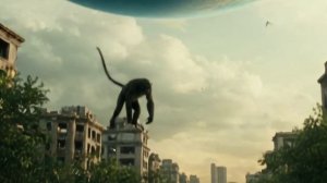 Царство обезьян