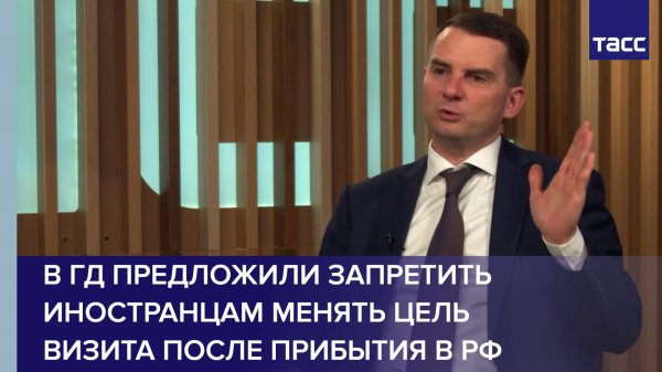 В ГД предложили запретить иностранцам менять цель визита после прибытия в РФ