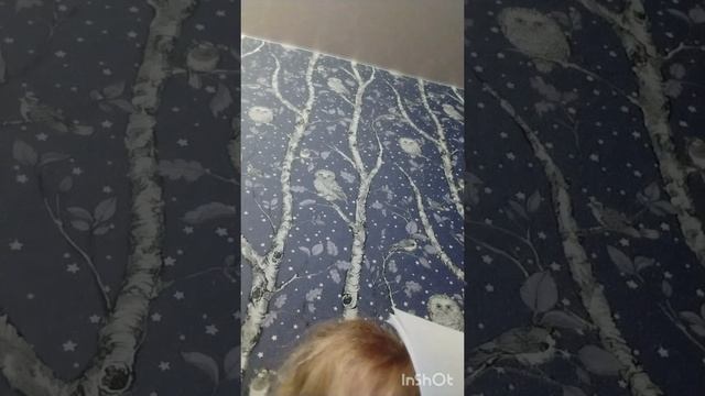 Потаповы 1 сезон 17 серия: контроша