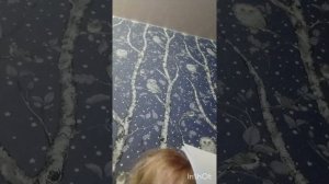 Потаповы 1 сезон 17 серия: контроша