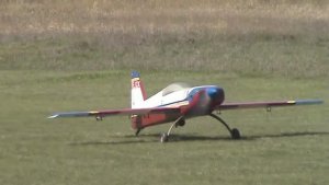 Андрей Васильевич в борьбе с кротами...