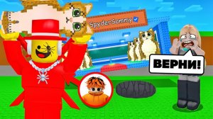 Я ПРИТВОРИЛСЯ АДМИНОМ SAMMY И ЗАТРОЛЛИЛ ДЕВУШКУ В STEAL A BRAINROT😂