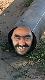 глент жёский