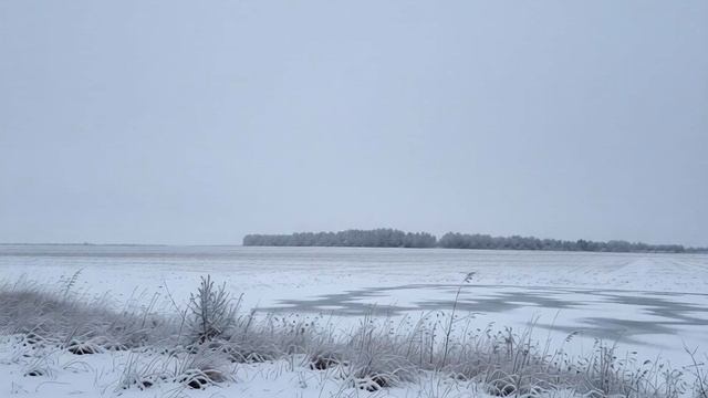 Video-18-02-26-11-59