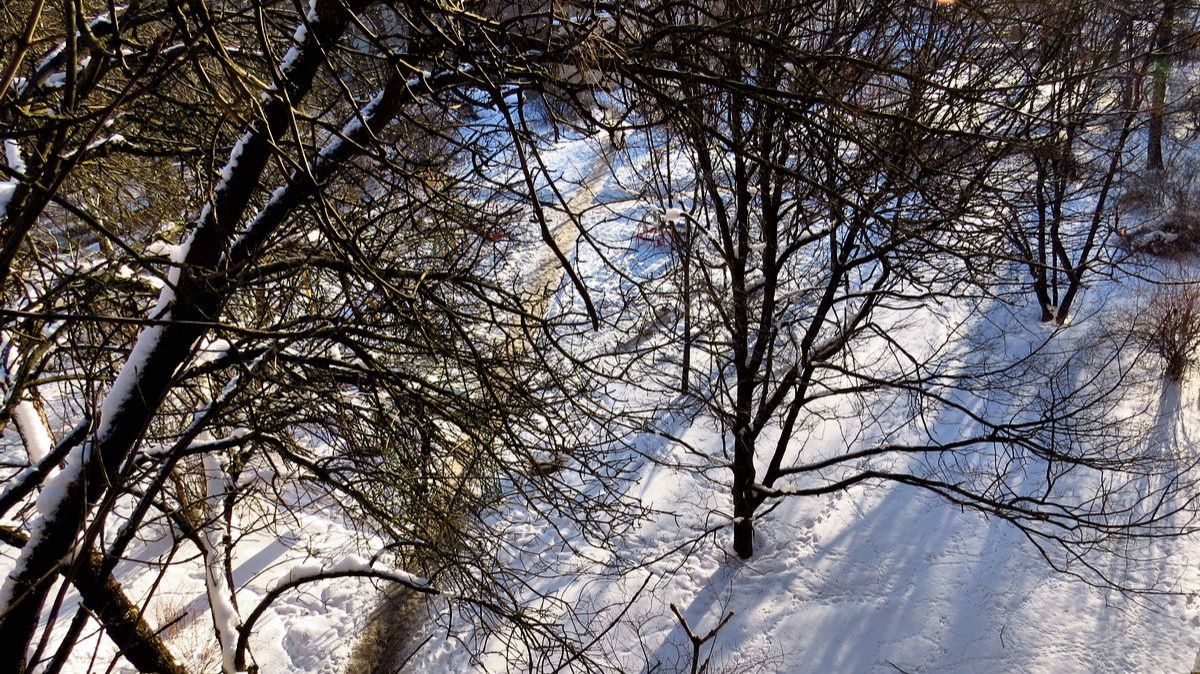 Мороз и солнце...