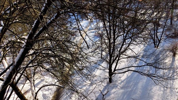 Мороз и солнце...