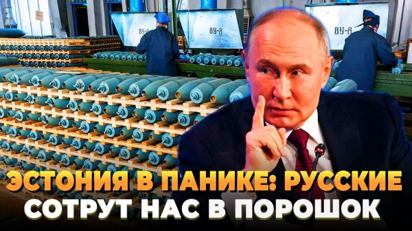 Эстония в ШОКЕ; У Русских слишком много снарядов