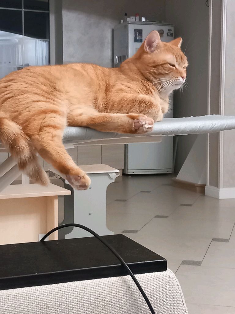 распоковка смотреть онлайн