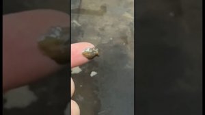 ТАНК изо всех чайников кричали убийца КРУЗАКА ,ВОТ И ПОСМОТРИМ КАКОЙ ОН УБИЙЦА