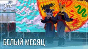 Животные лунного календаря поздравили читинцев с Сагаалганом