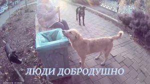 УЧАСТИЕ ЛЮДЕЙ